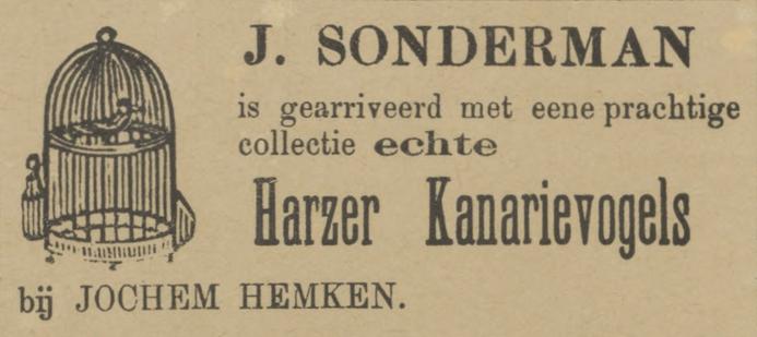 kanarie 1893.jpg