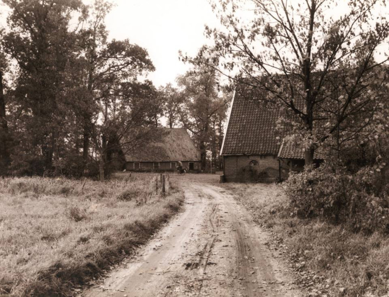 Deppenbroeksweg 110 Zandweg met boerderij Erve Deppenbroek. Situatie zomer 1960. Later is dit de Deppenbroekstraat.jpg