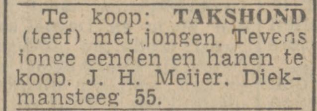 Diekmansteeg 55 J.H. Meijer advertentie Twentsch nieuwsblad 6-10-1944.jpg