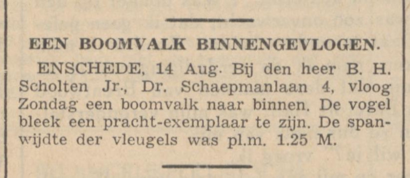 Dr. Schaepmanlaan 4 B.H. Scholten Jr. krantenbericht De Standaard 15-8-1939.jpg