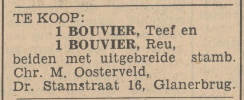 Dr. Stamstraat 16 C.M. Oosterveld advertentie Tubantia 19-2-1936.jpg