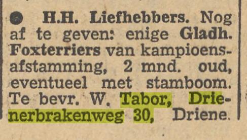 Drienerbrakenweg 30 W. Tabor advertentie Tubantia 13-9-1954.jpg
