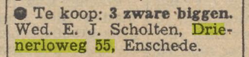 Drienerloweg 55 E.J.  Scholten advertentie Tubantia 7-5-1956.jpg
