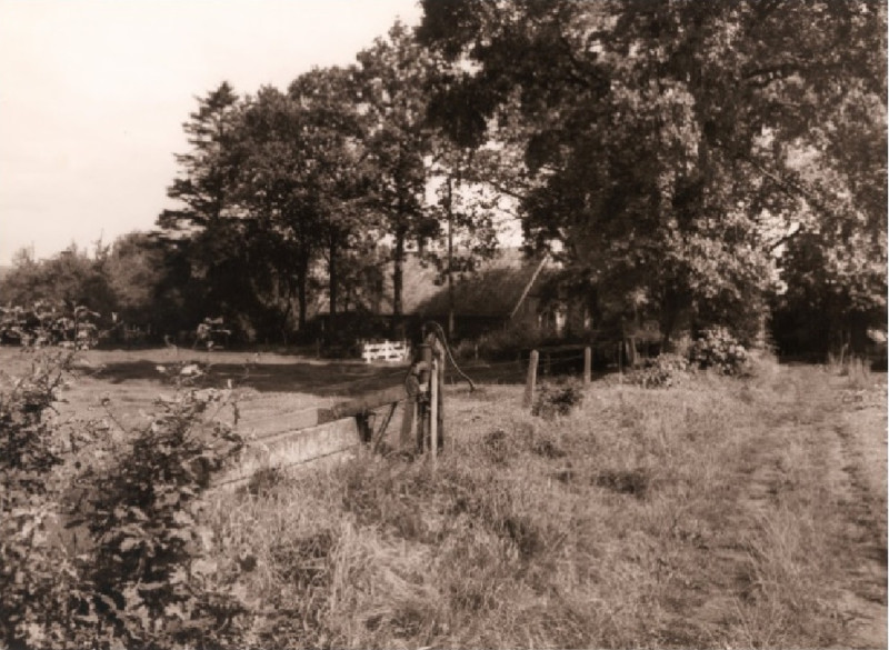 Drienerweg 300 Bolhaar in 1959. Boerderij Witbreuk met zandstenen drinkbak.jpg