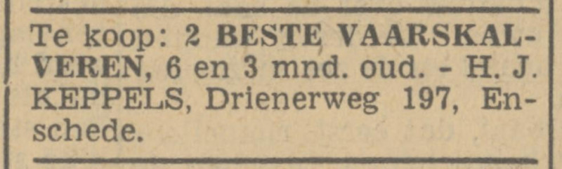 Drienerweg 197 H.J. Keppels advertentie Tubantia 6-8-1941.jpg
