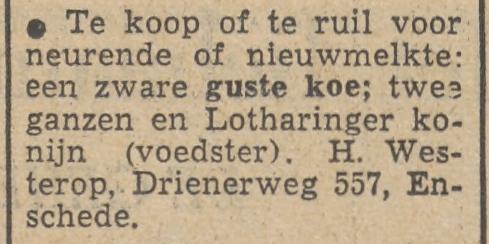 Drienerweg 557 H. Westerop advertentie Twentsche courant 22-11-1952.jpg