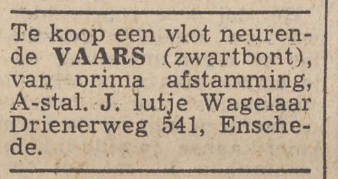 Drienerweg 541 J. lutje Wagelaar advertentie Twentsche Courant 26-7-1951.jpg