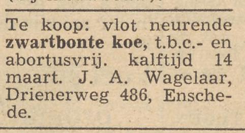 Drienerweg 486 J.A. Wagelaar advertentie Twentsche Courant 13-3-1959.jpg