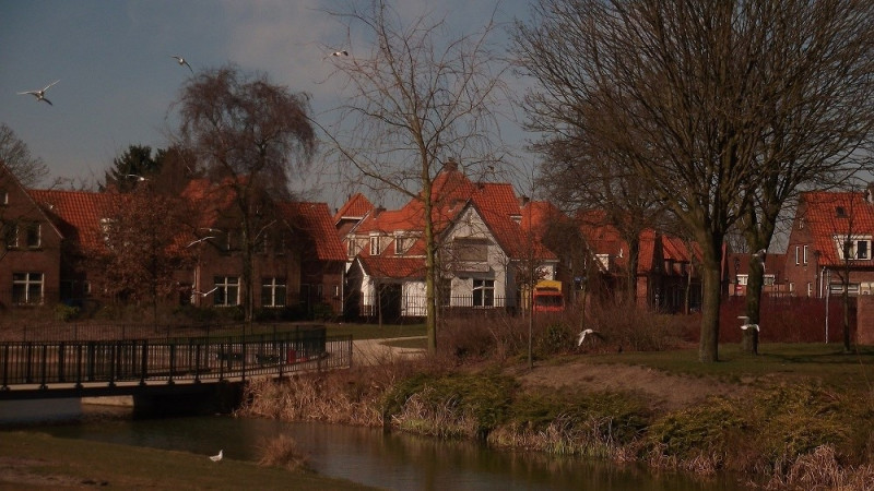 Drukkerstraat 1 hoek Sterkerstraat 28 Thomas Ainsworthpark eendenparkje met nieuwe brug.jpg