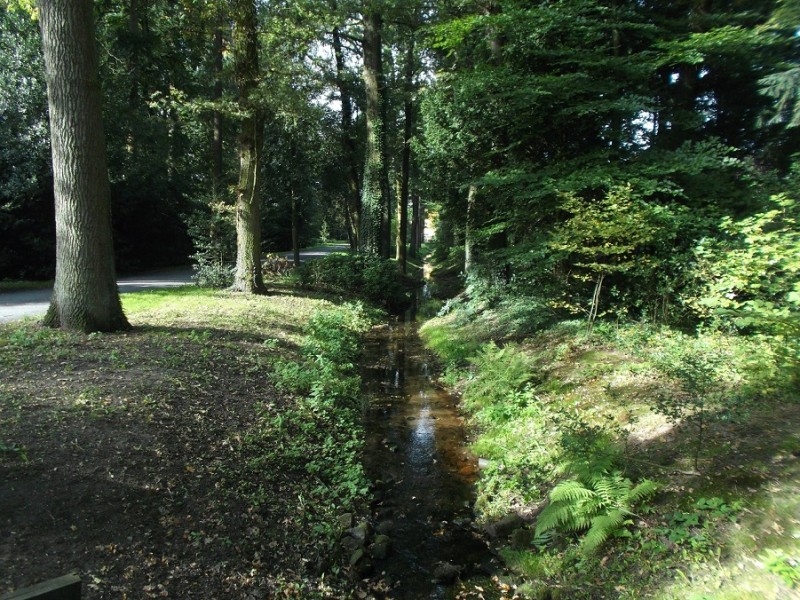 raad de plek.JPG