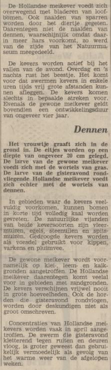 Rembrandtlaan meikevers bij flat krantenbericht Tubantia 3-7-1973 (2).jpg