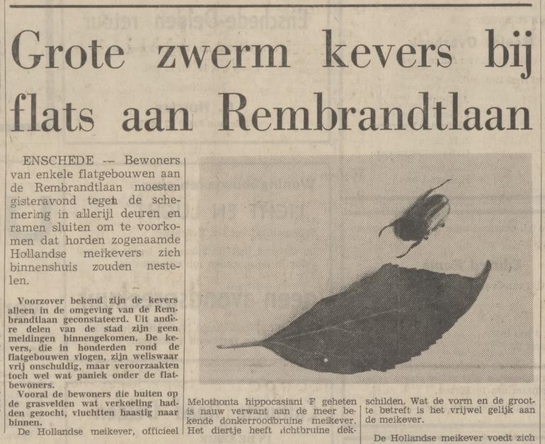 Rembrandtlaan meikevers bij flat krantenbericht Tubantia 3-7-1973.jpg