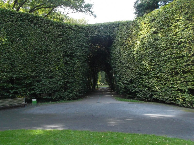van Lochemspark doorkijk (2).JPG