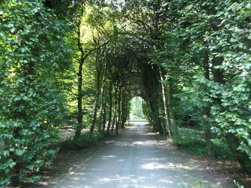 van Lochemspark doorkijk (3).JPG