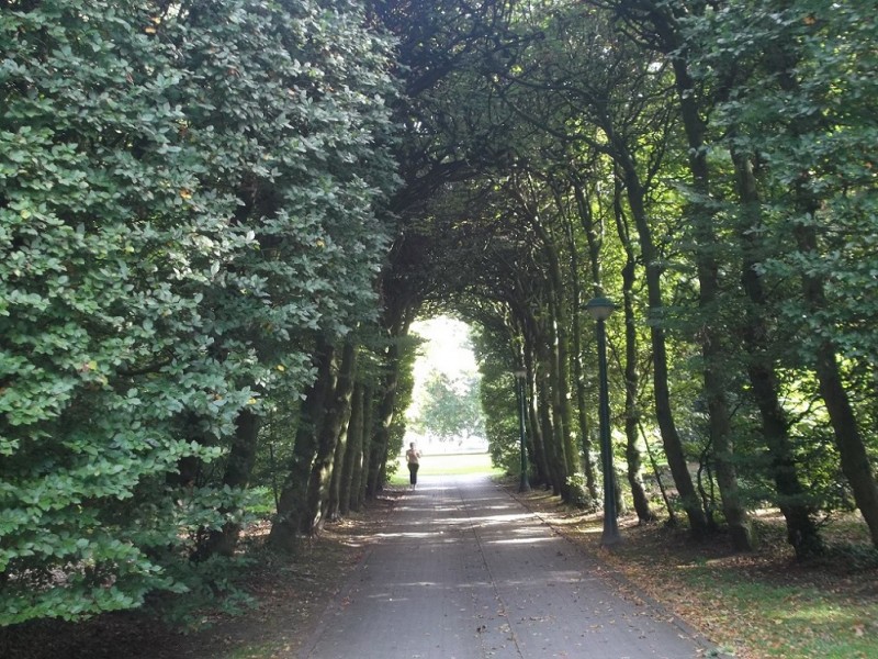 van Lochemspark doorkijk (5).JPG