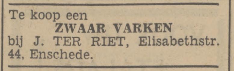 Elisabethstraat 44 J. ter Riet advertentie Tubantia 16-11-1944.jpg
