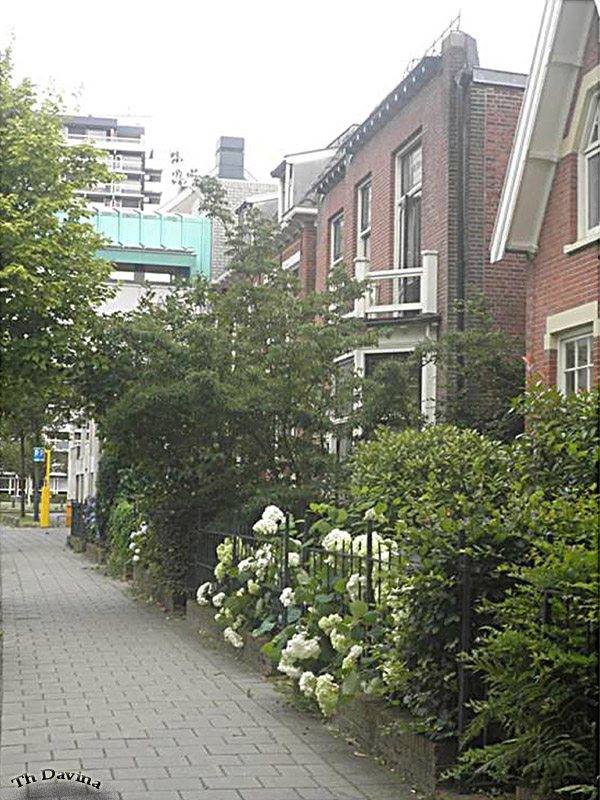 Emmastraat 29 brug MST.jpg