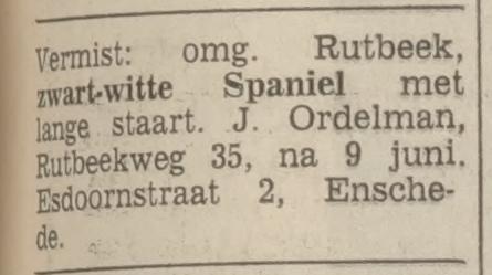 Esdoornstraat 2 J. Ordelman advertentie Tubantia 7-6-1972.jpg
