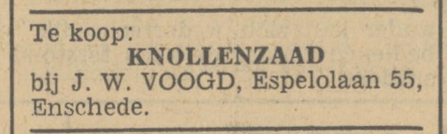 Espelolaan 55 J.W. Voogd advertentie Tubantia 31-7-1941.jpg