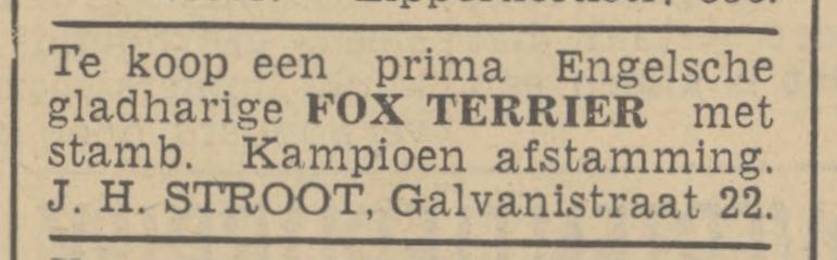 Galvanistraat 22 J.H. Stroot advertentie Tubantia 11-3-1939.jpg