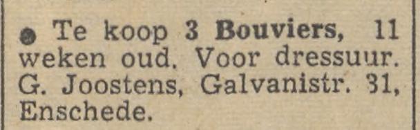 Galvanistraat 31 G. Joostens advertentie Tubantia 7-3-1957.jpg