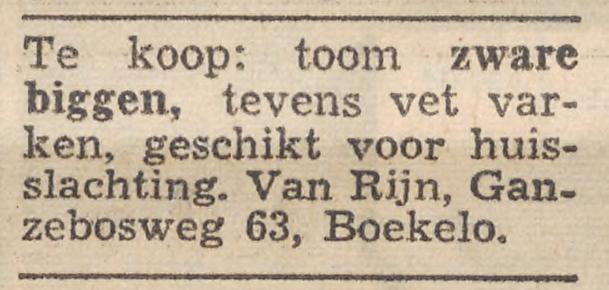 Ganzebosweg 63 Boekelo Van Rijn advertentie Twentsche Courant 13-11-1959.jpg
