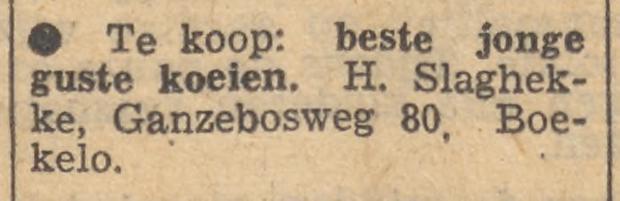 Ganzebosweg 80 Boekelo H. Slaghekke advertentie Tubantia 1-5-1958.jpg