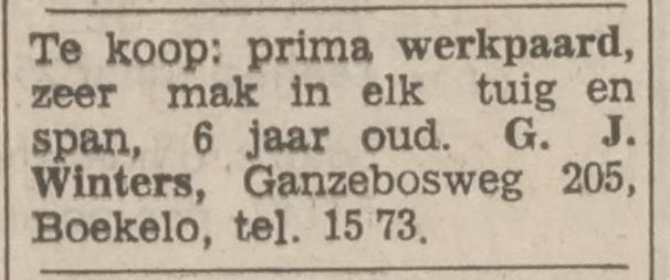 Ganzebosweg 205 Boekelo G.J. Winters advertentie Tubantia 12-7-1969.jpg