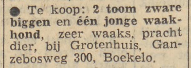 Ganzebosweg 300 Grotenhuis advertentie Tubantia 15-10-1960.jpg