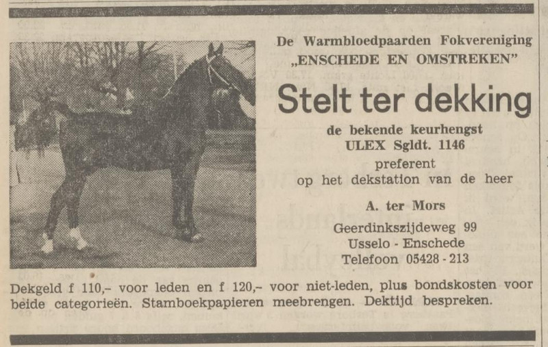 Geerdinkszijdeweg 99 A. ter Mors advertentie Tubantia 9-3-1967.jpg