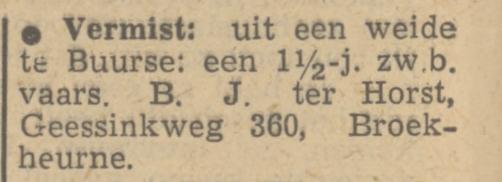 Geessinkweg 360 Broekheurne B.J. ter Horst advertentie Tubantia 20-10-1949.jpg