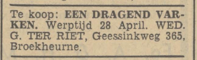 Geessinkweg 365 Broekheurne Wed. G. ter Riet advertentie Tubantia 8-4-1939.jpg