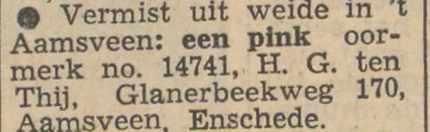 Glanerbeekweg 170 Aamsveen H.G. ten Thij advertentie Tubantia 12-7-1960.jpg