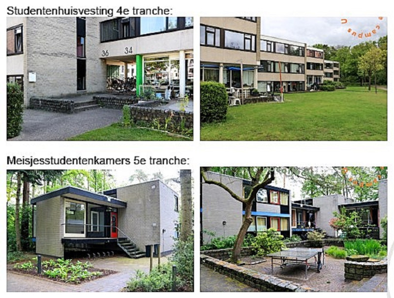 Calslaan 34-36 Universiteit Twente studentenhuisvesting gemeentelijk monument.jpg