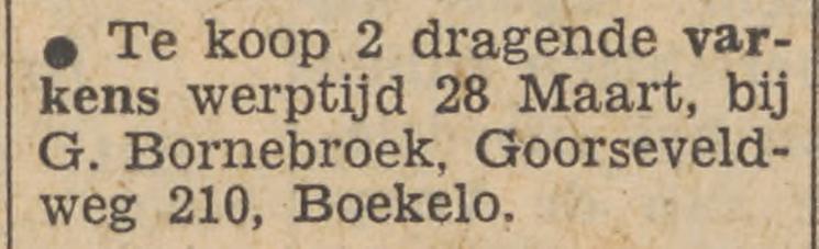 Goorseveldweg 210 Boekelo G. Bornebroek advertentie Tubantia 22-3-1955.jpg