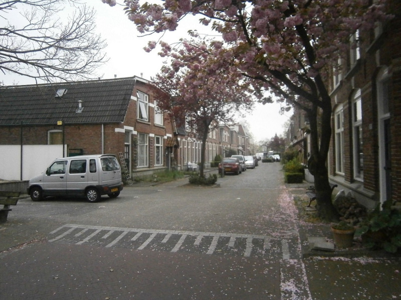 Grevestraat 22-24 links vanaf Tubantiastraat.JPG