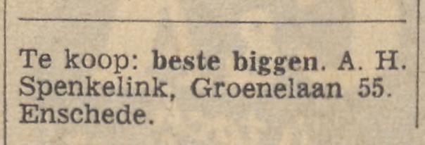 Groenelaan 55 A.H. Spenkelink advertentie Tubantia 25-5-1965.jpg