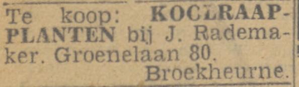 Groenelaan 80 Broekheurne J. Rademaker advertentie Twentsch nieuwsblad 7-7-1944.jpg