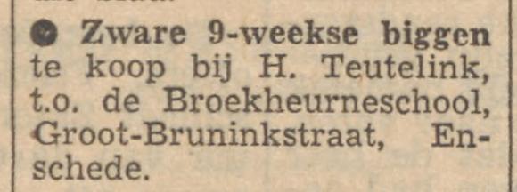 Groot Bruninkstraat 6 H. Teutelink advertentie Tubantia 11-2-1954.jpg