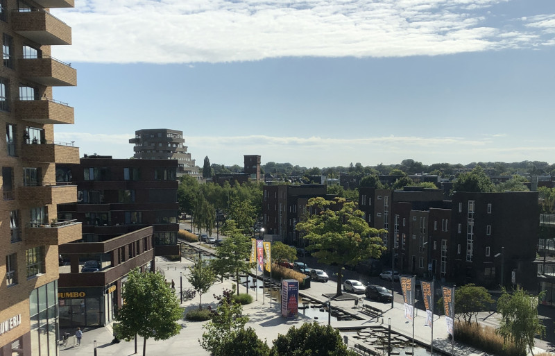 Roombeek 2025 1 0.JPG