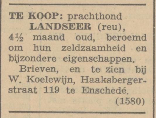 aaksbergerstraat 119 W. Koelewijn advertentie Nieuwe Apeldoornsche Courant 4-7-1936.jpg