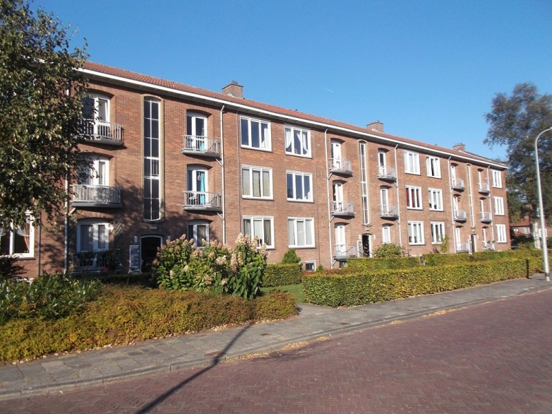 zoek de plek.JPG