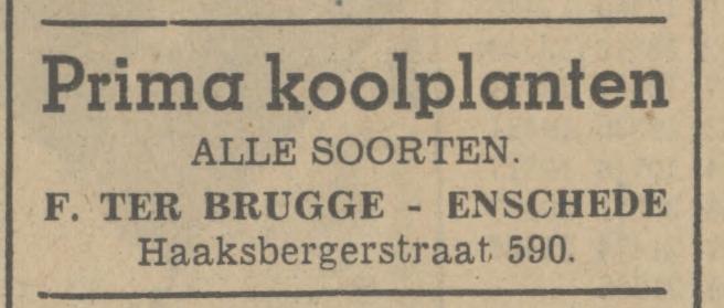 Haaksbergerstraat 590 F. ter Brugge advertentie Tubantia 7-6-1941.jpg
