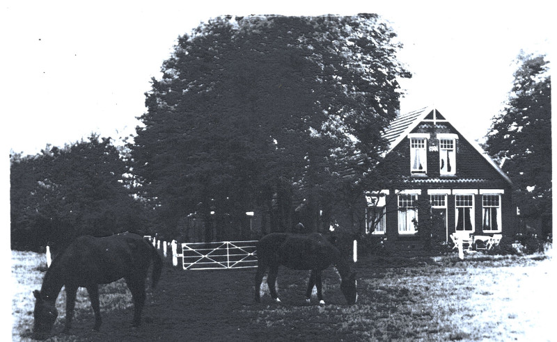 Haaksbergerstraat 1190 kampeerboerderij rutbeek 1960.jpeg