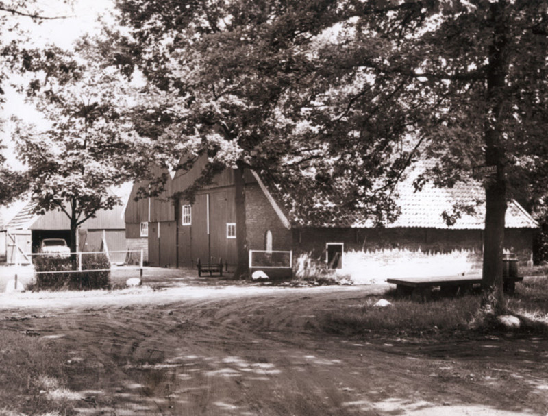 Harberinksweg 44 Boerderij achtergevel. Erve Stienjans of Stienboer. Bouwjaar 1814, op kadastrale kaart van 1830 genaamd Nijhuis.jpeg