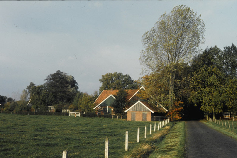 Harberinksweg 45 Weiland en boerderij met schuren.jpeg