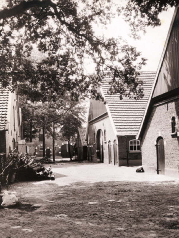 Harberinksweg 49 Boerderij Erve Harberink of Berends, achtergevel. Erve genoemd in 1733. Op kadastrale kaart van 1830 genaamd Harberink nr.1 ..jpeg