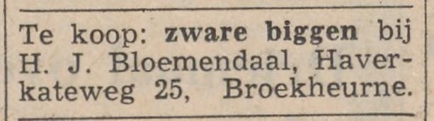 Haverkateweg 25 Broekheurne H.J. Bloemendaal advertentie Tubantia 4-12-1963.jpg