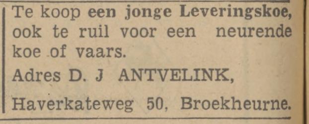 Haverkateweg 50 Broekheurne D.J. Antvelink advertentie Tubantia 13-10-1942.jpg