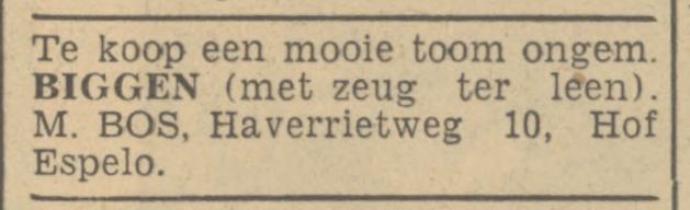 Haverrietweg 10 Hof Espelo M. Bos advertentie Tubantia 17-4-1940.jpg